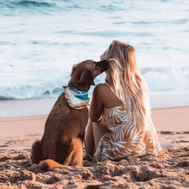 Urlaub mit Hund