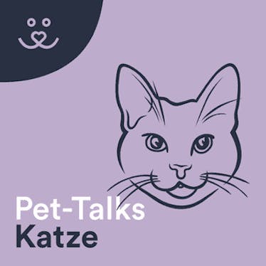 Pet-Talks: Katze
