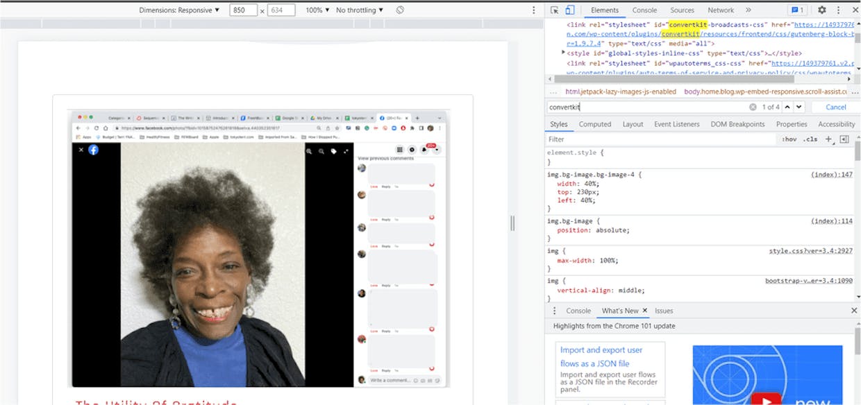 Clare shortcode isn't working in Wordpress sidebar: www.tokyoterri.com. I'm using the Customizer, to no avail. help!