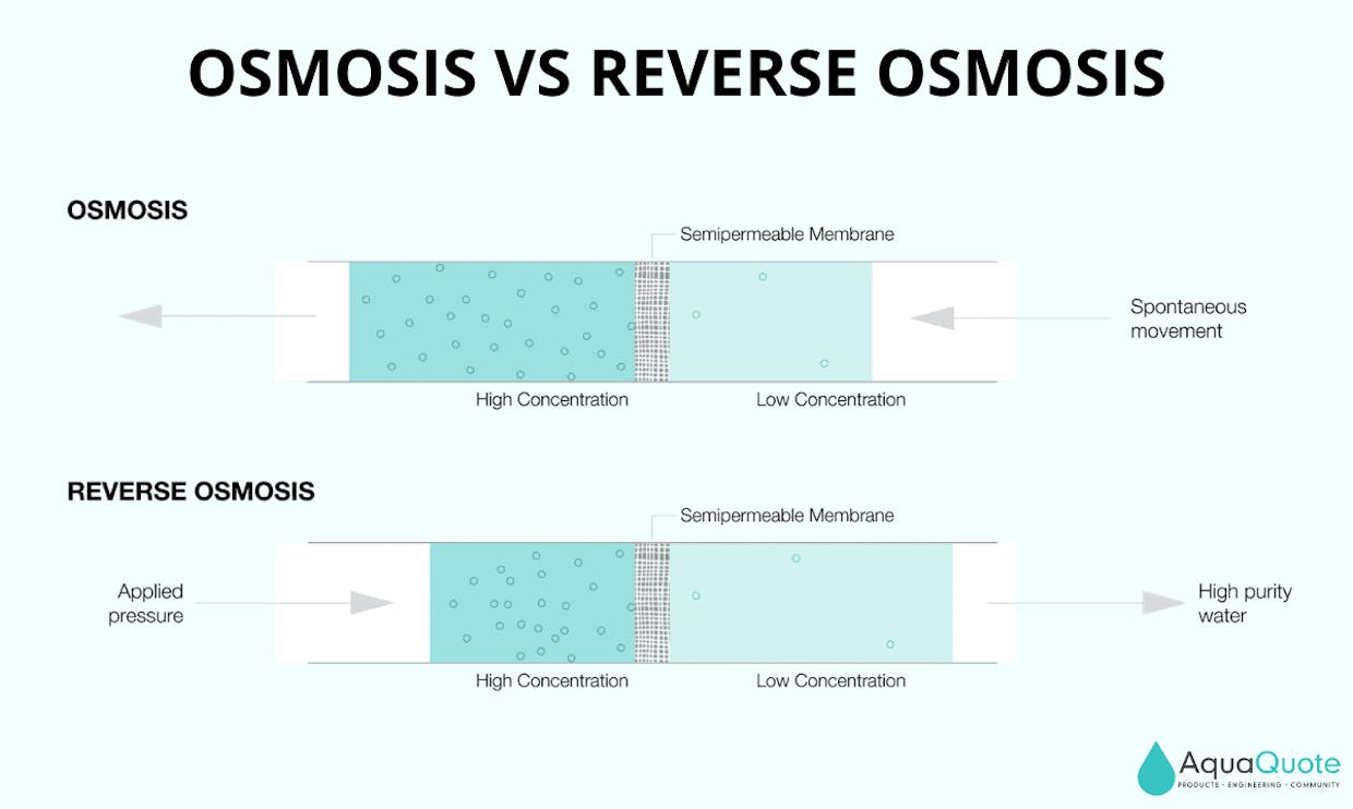 The natural phenomenon of osmosis and the principle of reverse osmosis as a means of selective filtration