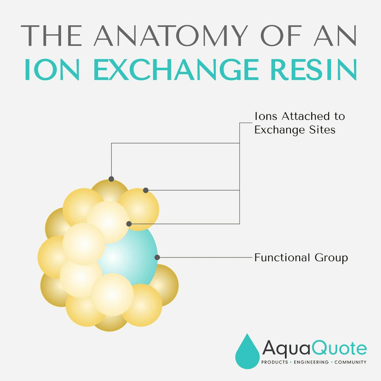 Ions attach to functional sites on an ion exchange resin bead