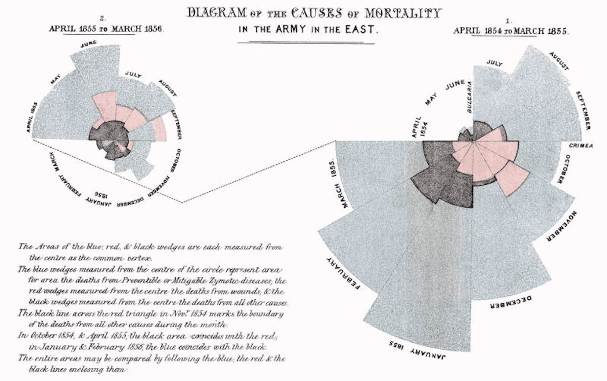 Diagram of the causes of mortality