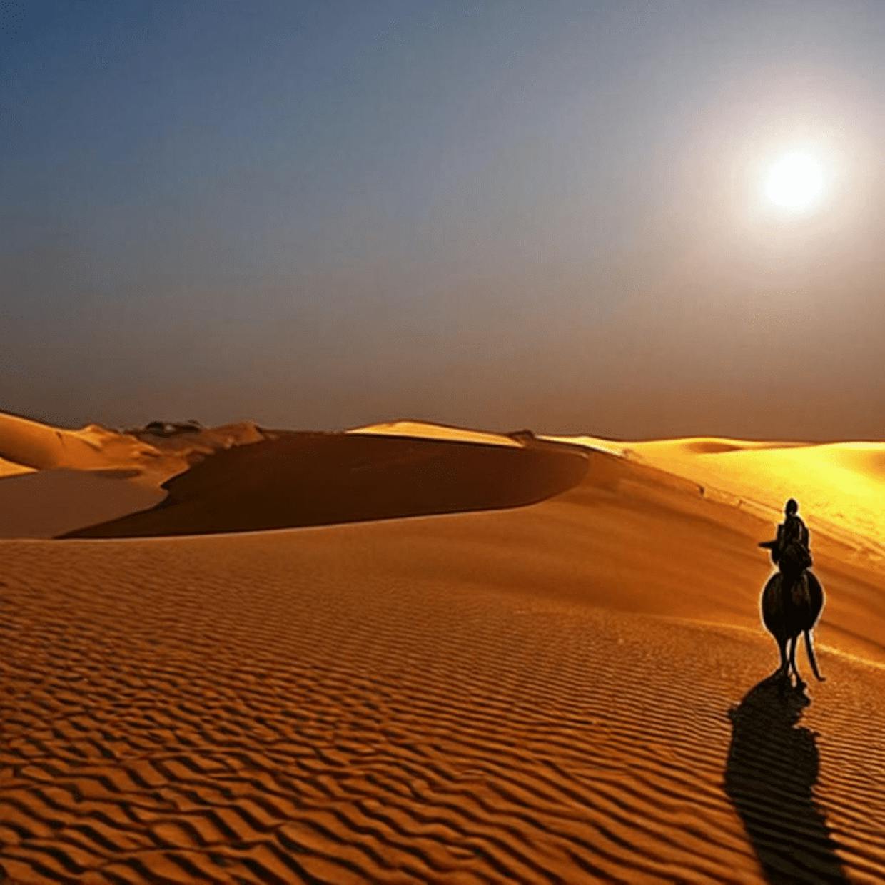 Which state has the highest tourism in India?