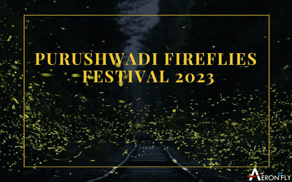What are some tips for responsible tourism at the Purushwadi Fireflies Festival in 2023?
