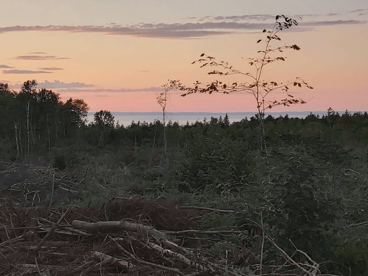 8 acres of land. Looking for a renter, long term or short. Space to park an RV, tiny home or van. Outhouse, rainwater systems. Offgrid. Permaculture practices started. Opportunity to start your own little offgrid living space.