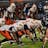 Defensive Line