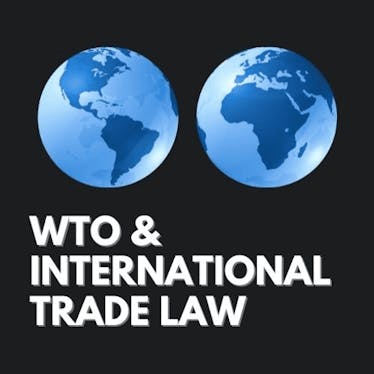 WTO/International Trade