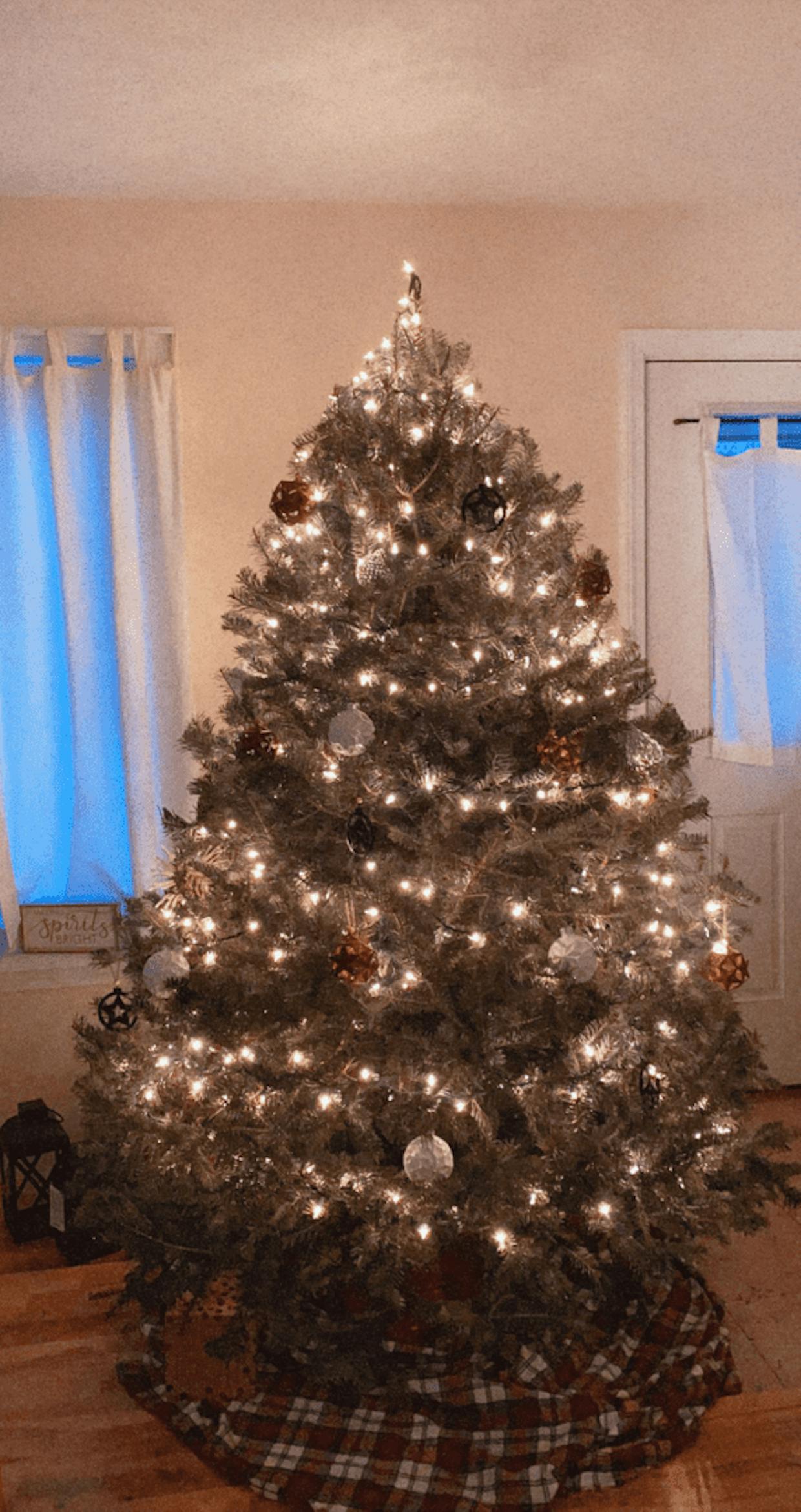 I normally spend a while picking out my tree and usually get a pretty perfect and even one. This year I think a lot of people decorated early to boost their cheer this year lol, so there wasn’t much left at the farm when I went but this tree is a perfect 2020 tree. Its got some gaps and is a little warped and messy, but i kind of love it anyway. If It was perfect it wouldn’t be right this year haha!