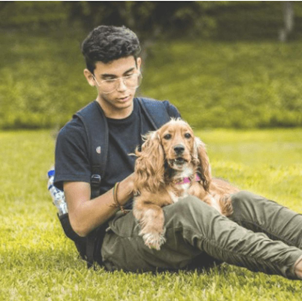 Dating With Dogs