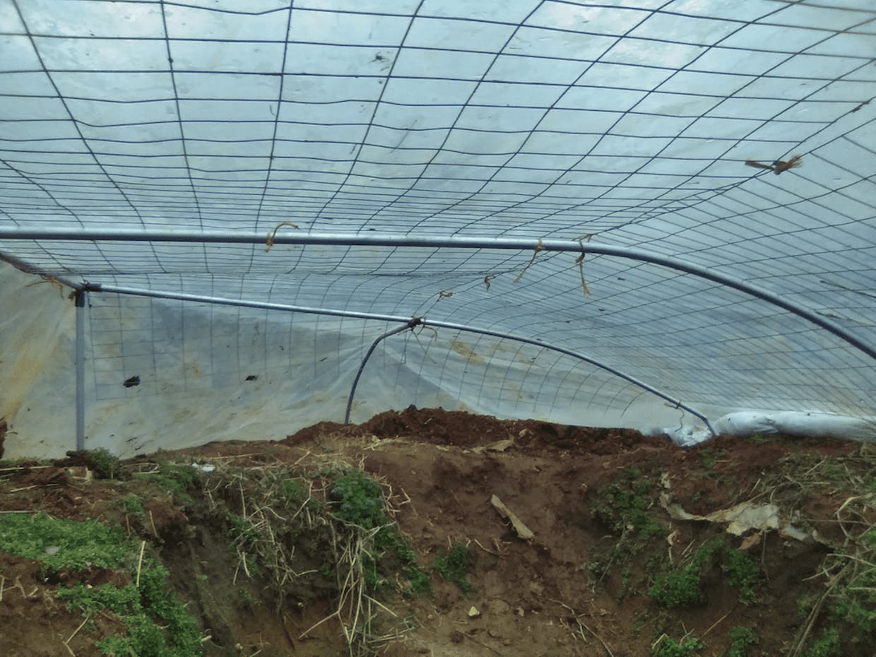 Conduit/fencing roof/6 mil UV plastic roof