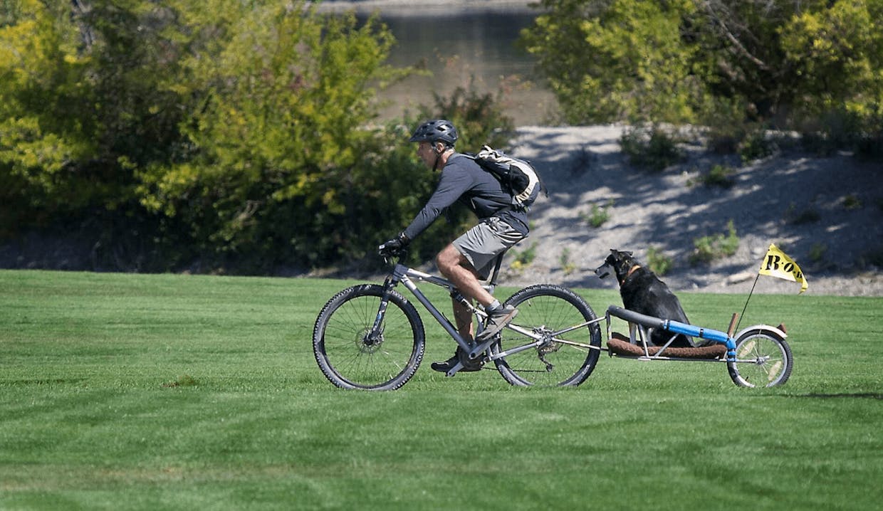 A dog gets a ride on a trailer of a bicycle on the Apple Capital Recreation Loop Trail on Wednesday through Riverfront Park.