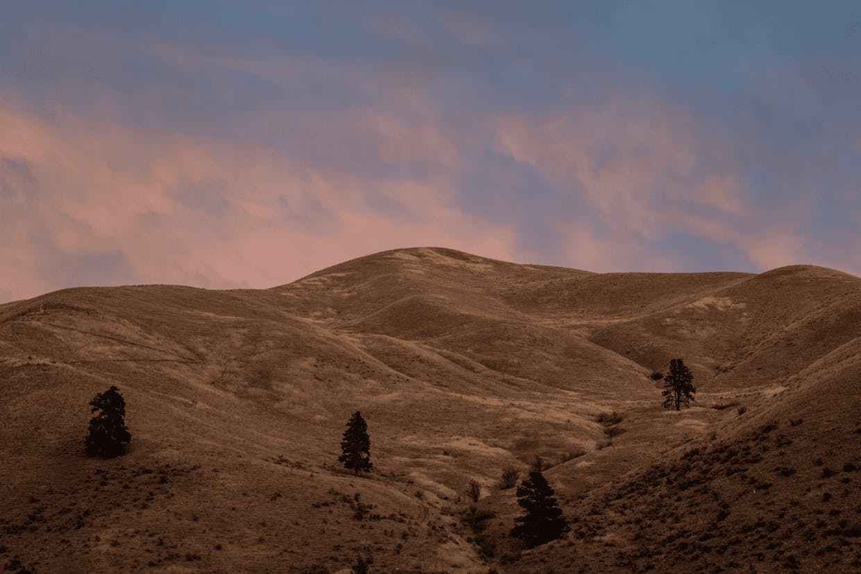 Golden hills are tinted by a pink and blue sunset northeast of Cashmere, Sept. 30 along the Nahahum Canyon Road.