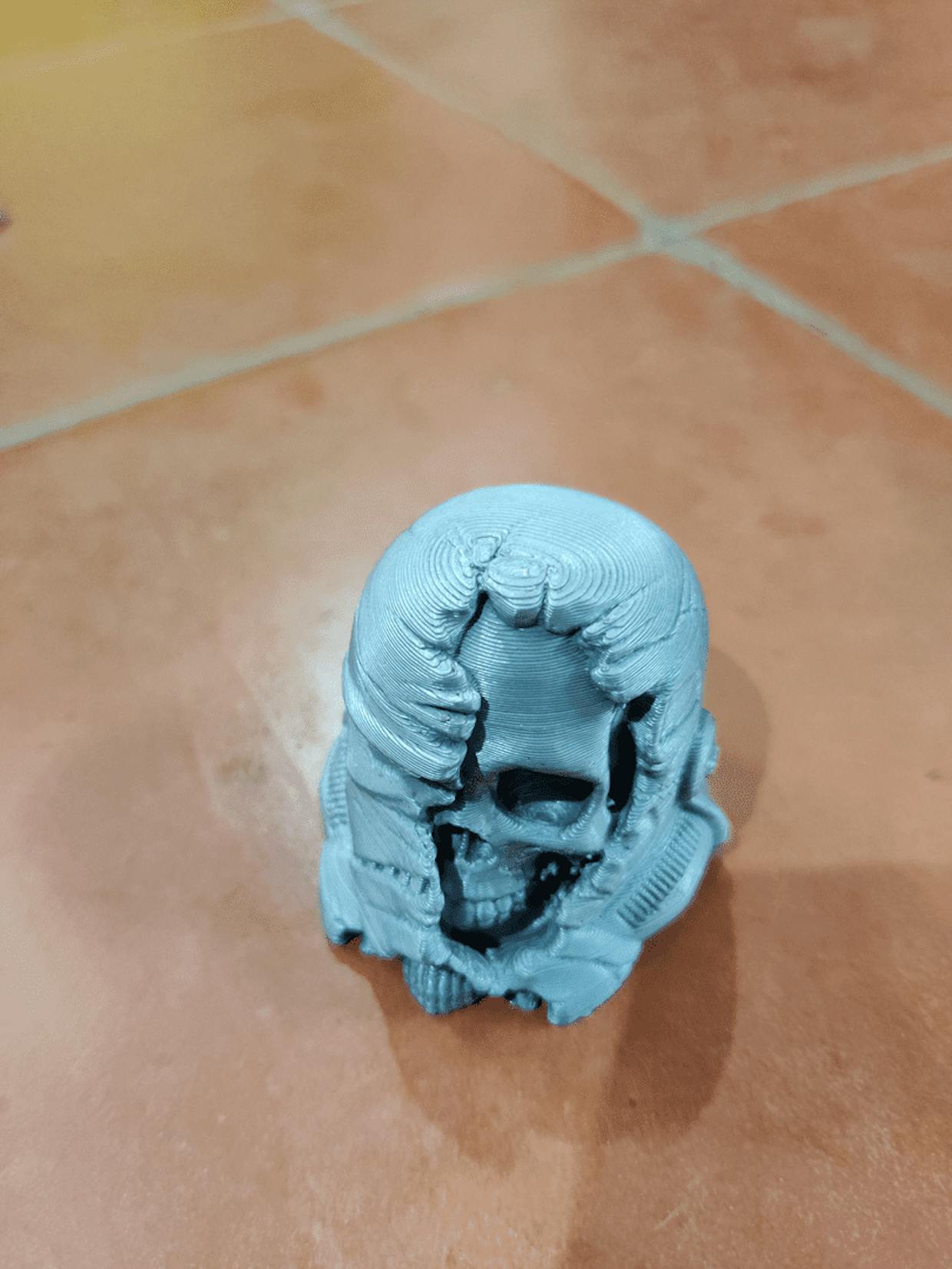 Killer 3D print - StormTrooper meets Skeletor
