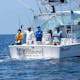 PICANTE SPORTFISHING - Fishing Charters
