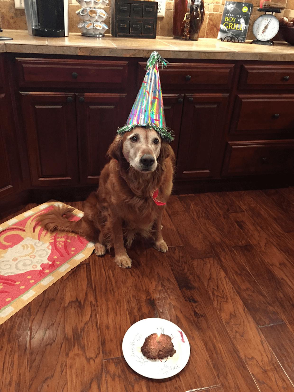 Montrose local Linda Narlinger submitted this adorable photo of her birthday pup last month!