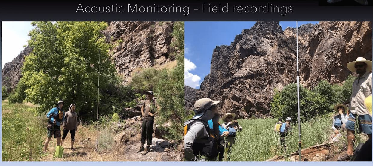 Example of BLM bat monitoring at a sample site