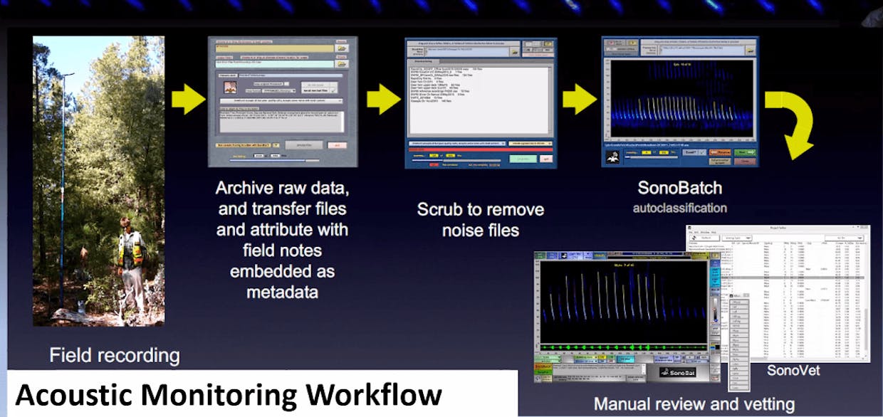 A look at the acoustic monitoring workflow. It begins with the field recording and ends with analysis.