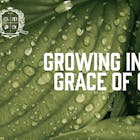 Growing in the Grace of God