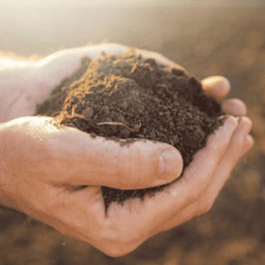 Food, Agriculture and Land Use