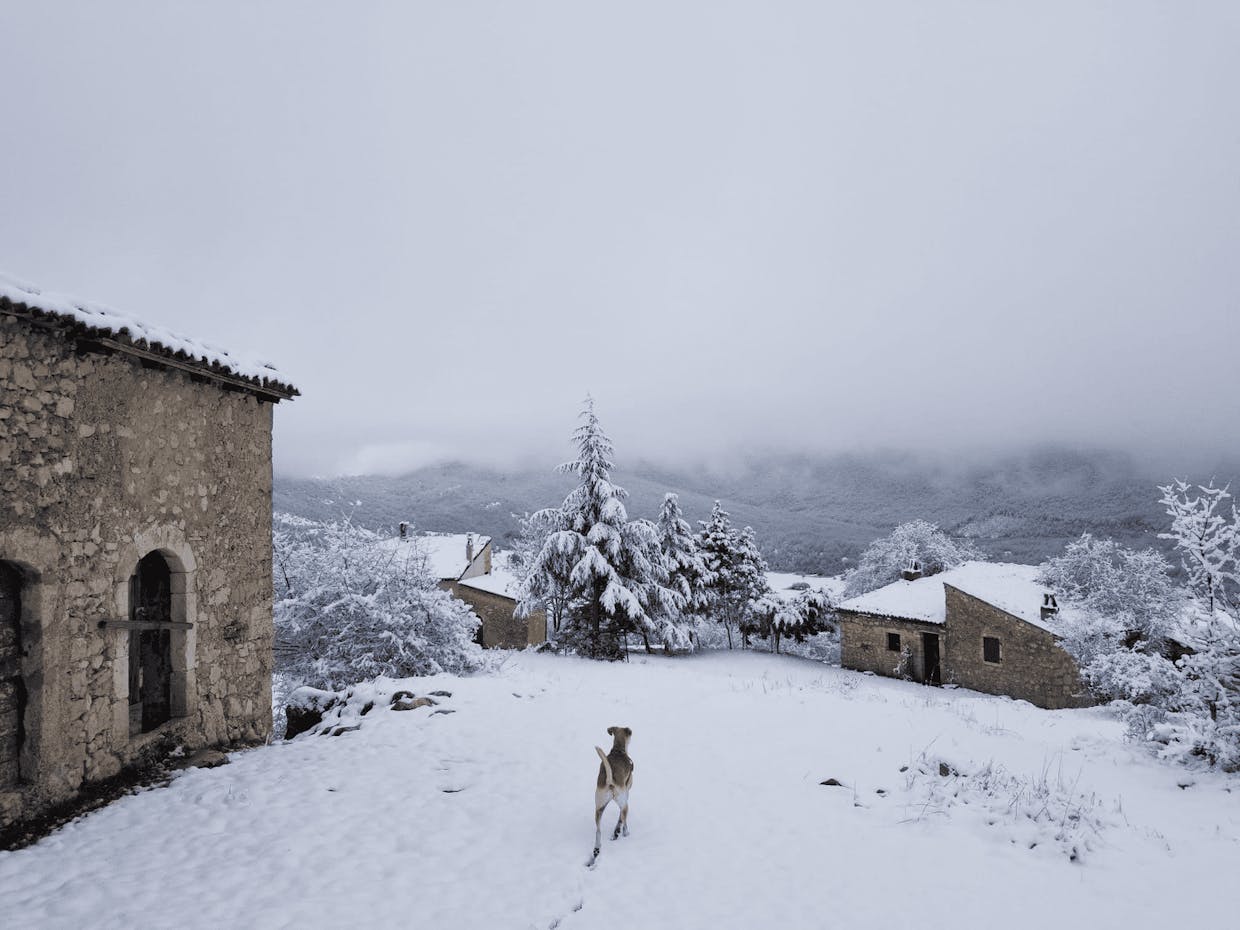 This is my dog Mia in a photo from last year in Abruzzo, in a little spot called