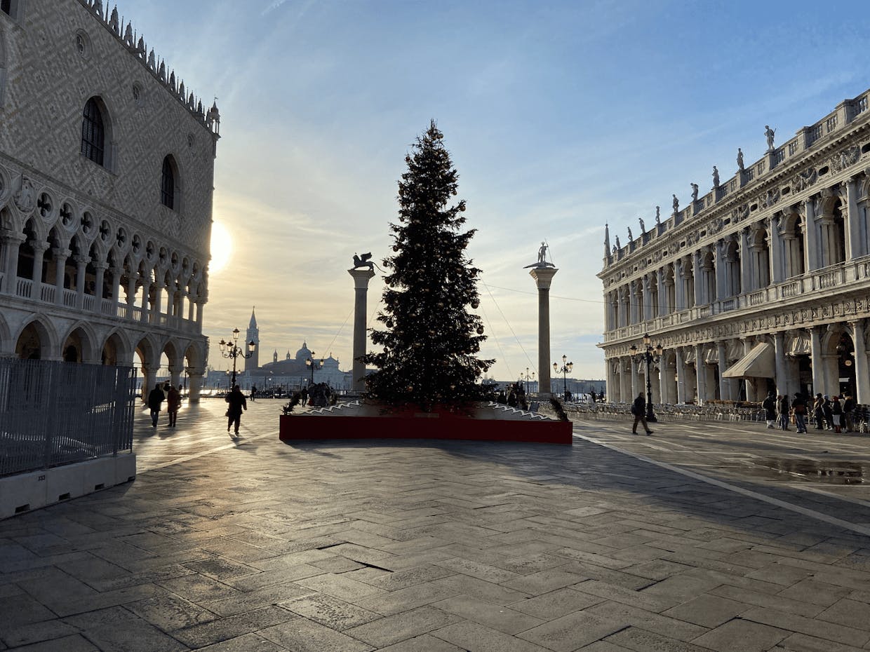 This is the tree in Piazza San Marco on a bright and sunny day in 2021. For anyone traveling to Venice for Christmas, the weather looks just like this for the foreseeable future! It's wonderful having a real tree again this year after more contemporary "trees" in recent years.