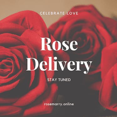 Rosemarry Rose Delivery