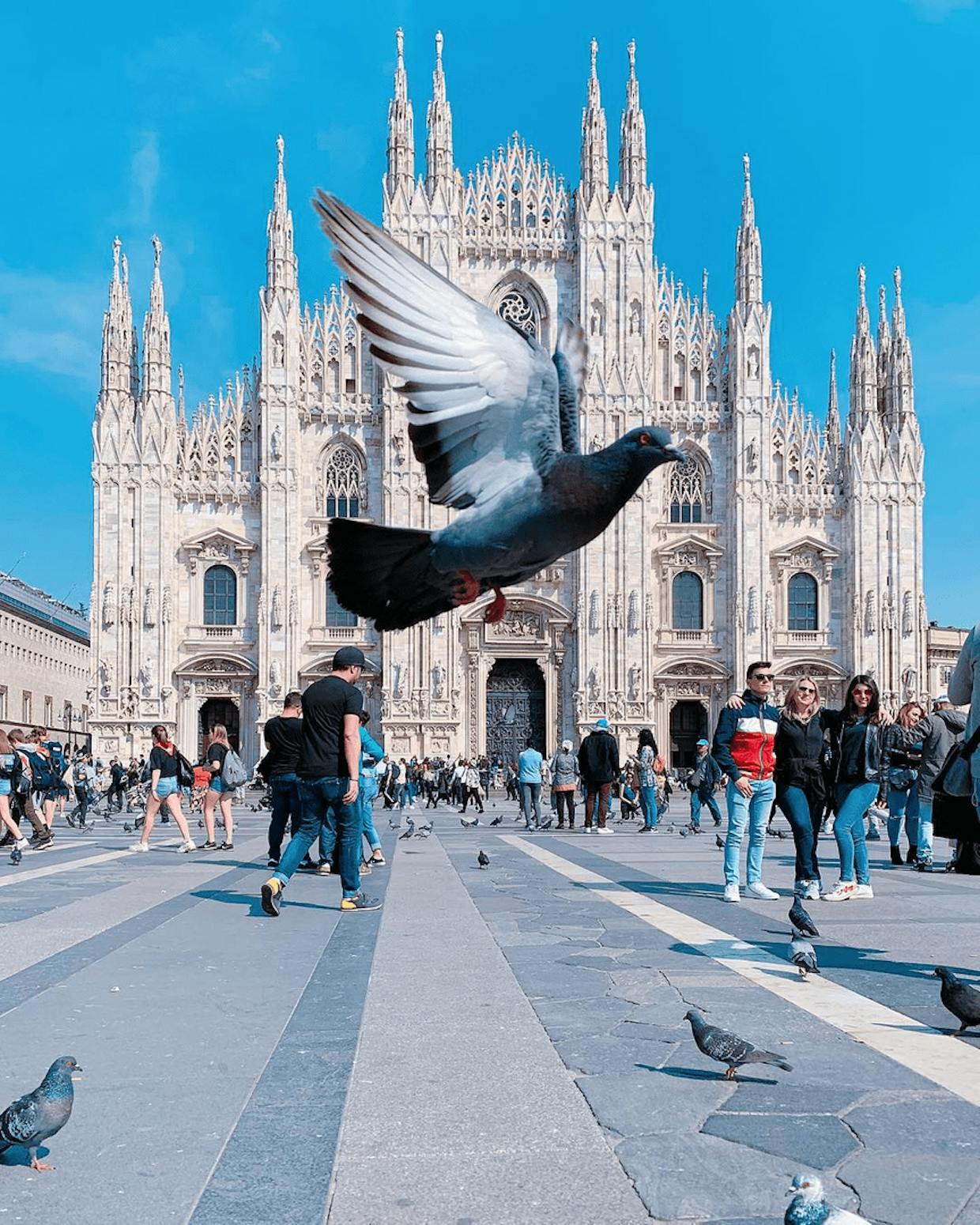 I think this is one of the best pics I've ever taken - zero edits, just a raw, lucky timed pic from my iPhone while in Milan, Italy!