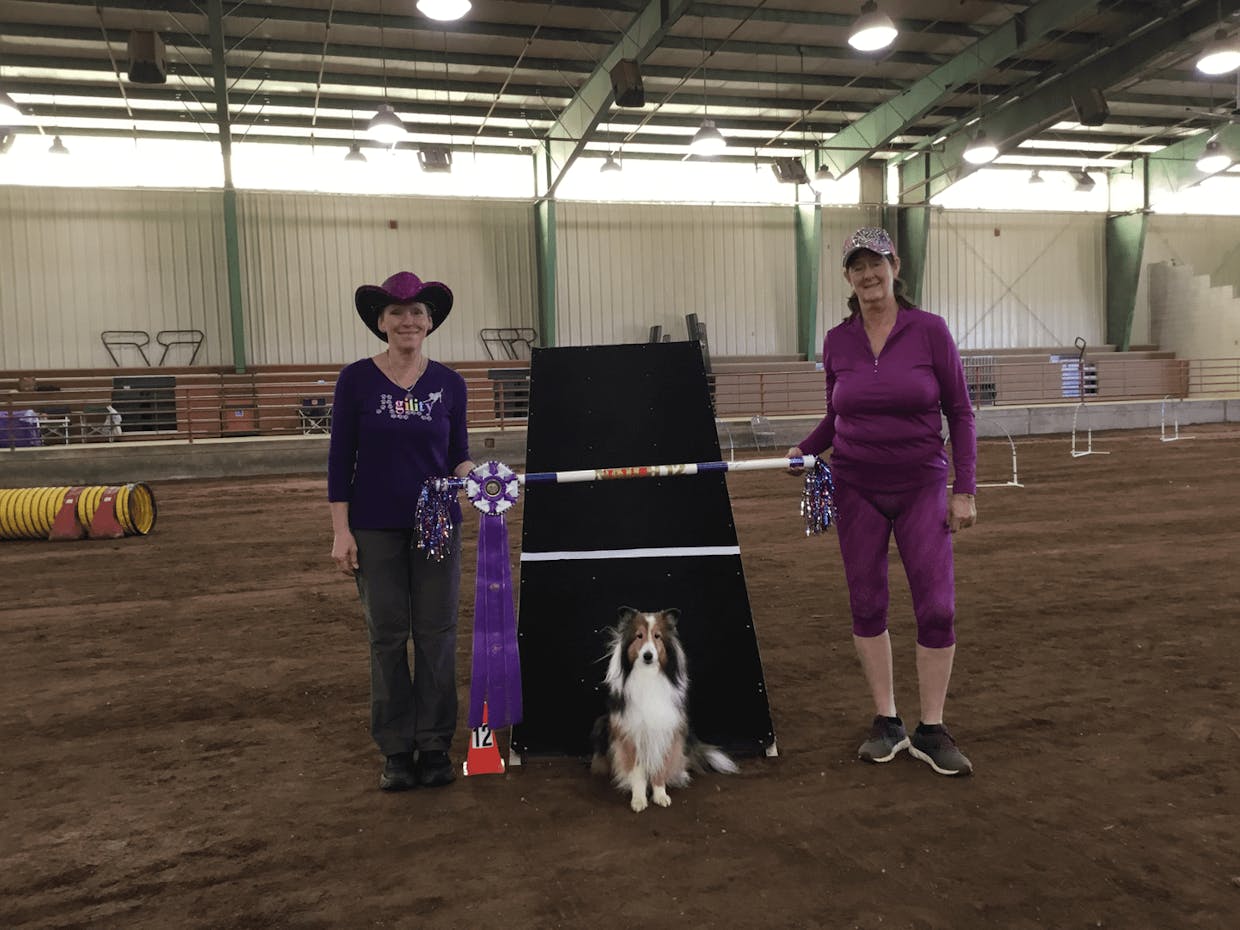 NATCH 12 Sammy Thompson, Sandy Langan, and Judge Karen Hough     Congratulations to Sammy and Sandy Langan for earning a NATCH 12 at the Laughing Dog Agility Trial on March 26, 2022, in Autaugaville, AL.  Sammy is loved and usually run by Mary Jo Thompson, however, due to some issues, Mary Jo couldn't run Sammy at this trial.  Sandy guided him through the course with no problem and earned this very well deserved title.  Way to go, Team Sammy!!!!!!!!  
