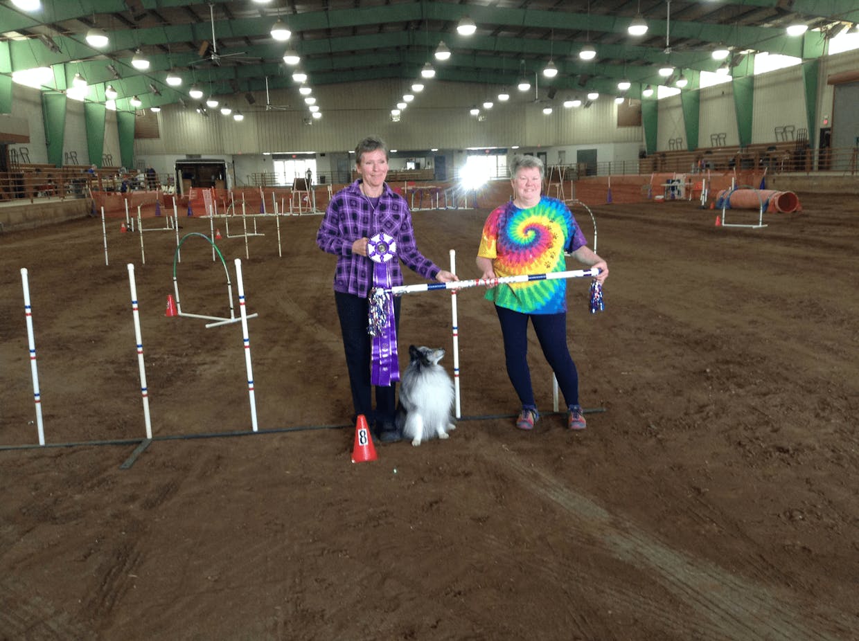 V-NATCH 8 SPLASH, MARY CERCONE, AND JUDGE KAREN HOUGH -- Slash and Mary Cercone earned their Versatility NATCH 8 at the Laughing Dog Agility Trial in Autaugaville, AL. They had an awesome run to finish this title. It was especially sweet as this was Splash's retirement run after an amazing agility career. Congratulations to Splash and Mary!!!!! Enjoy your retirement, Splash. From now on, they are all fun runs!!!!!