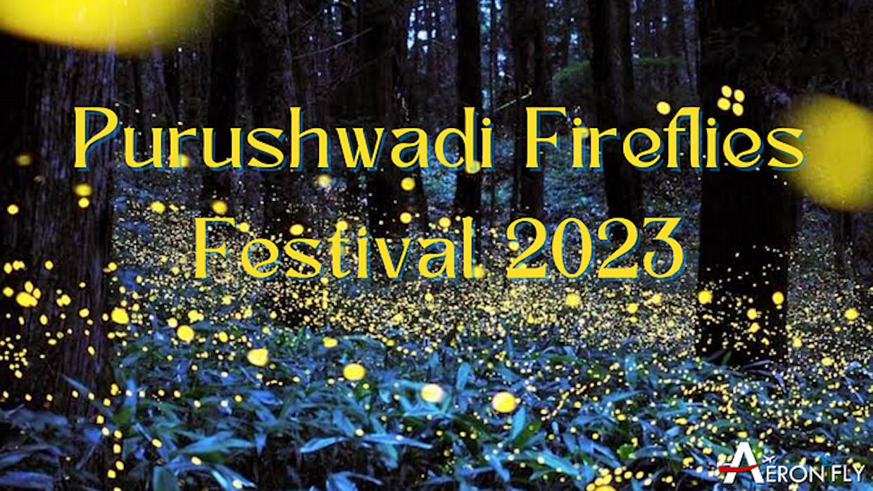 What is the Purushwadi Fireflies Festival?
