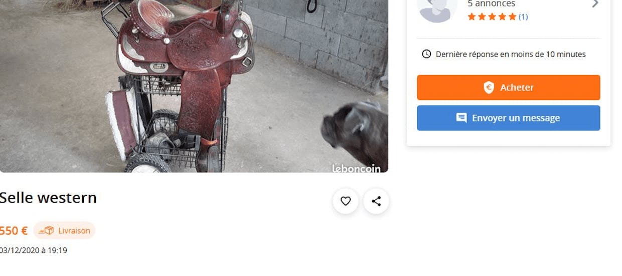 Bonjour je ne peux plus supprimer mes annonces