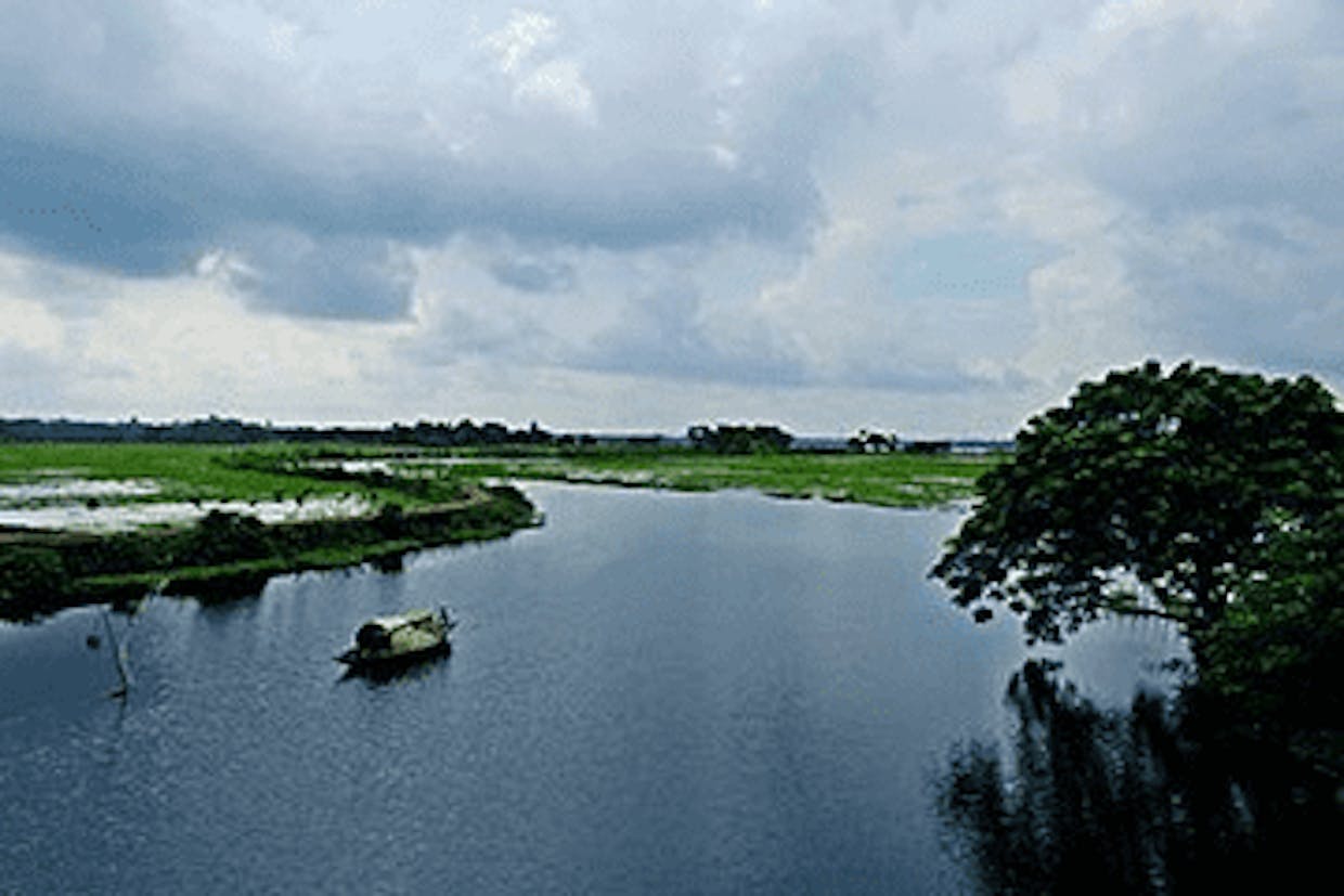 বেলাই বিল