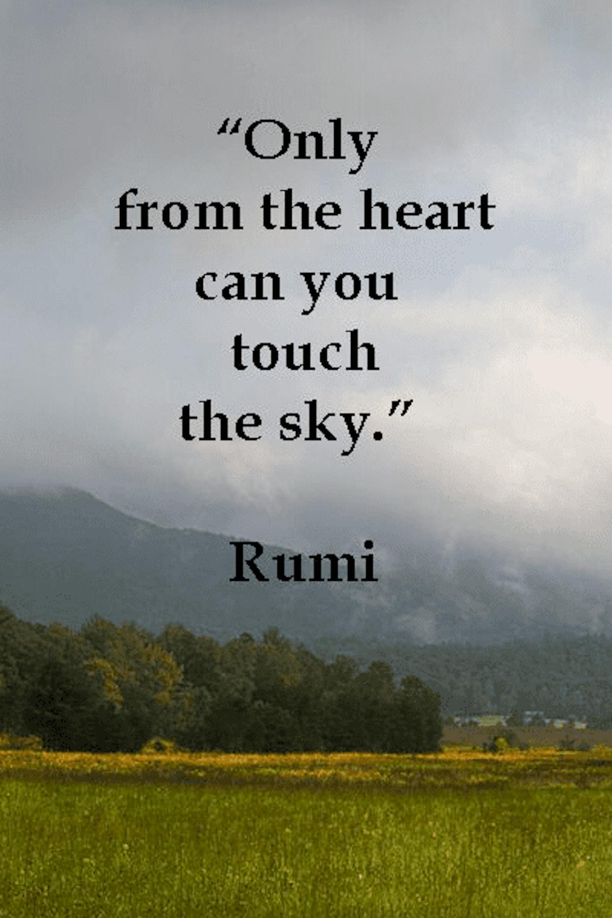 Only From The Heart Only From The Heart