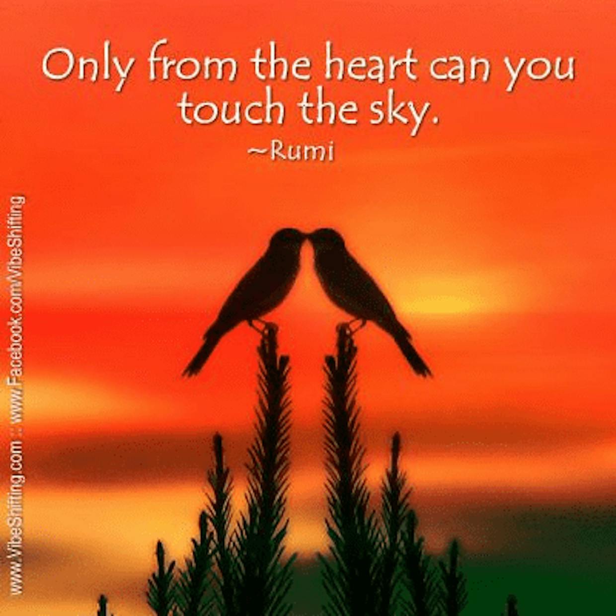 Only From The Heart Only From The Heart