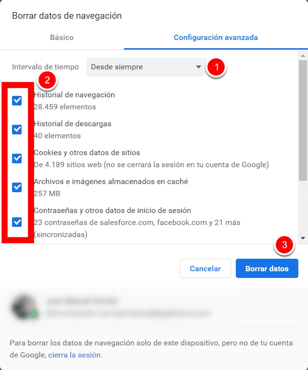Como se borra el cache de Google Chrome para solucionar un problema de ejecución de EGA Futura?