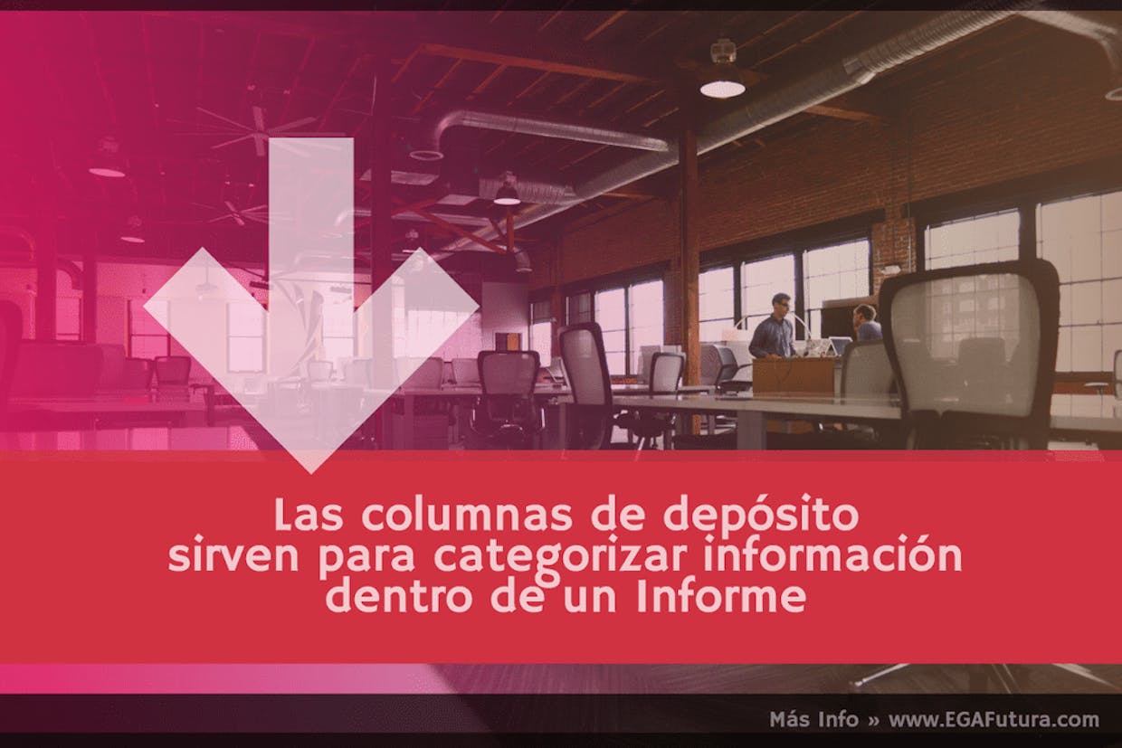 Dentro de un Informe de EGA Futura, que es y para que sirve una columna de deposito? Como funciona?