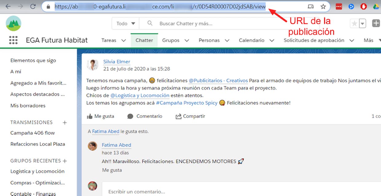 Como compartir un link o vínculo directo a una publicación de Chatter?