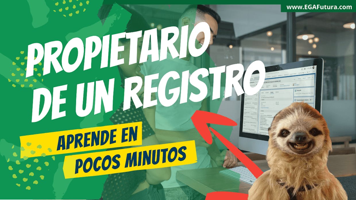 Es lo mismo el propietario que el creador de un registro?