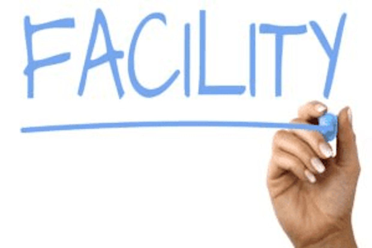 How govt. Act as a business facilitator?
