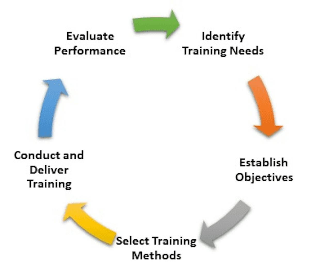 What is the process of training and development?