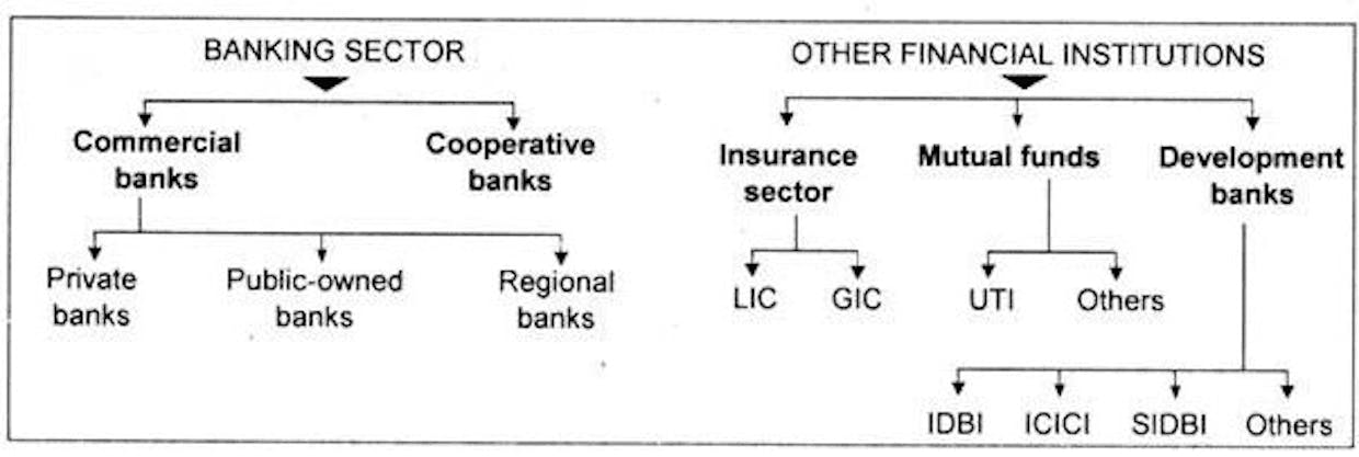How does the financial system work in India?