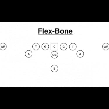 Flex-Bone