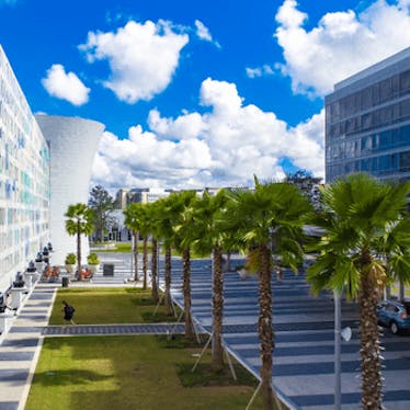Lake Nona Business Group