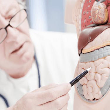 Gastroenterología