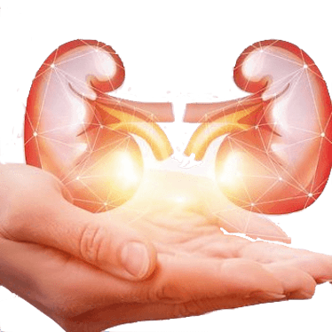 Urología