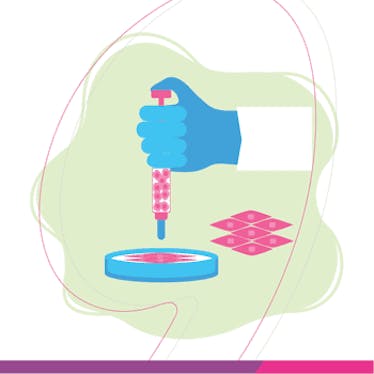Stem Cell Banking