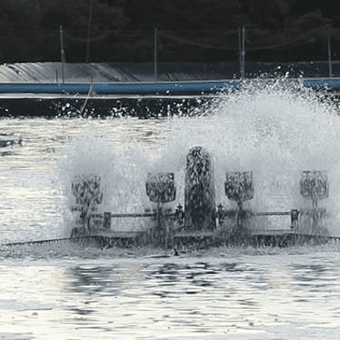 Aquaculture Suplies