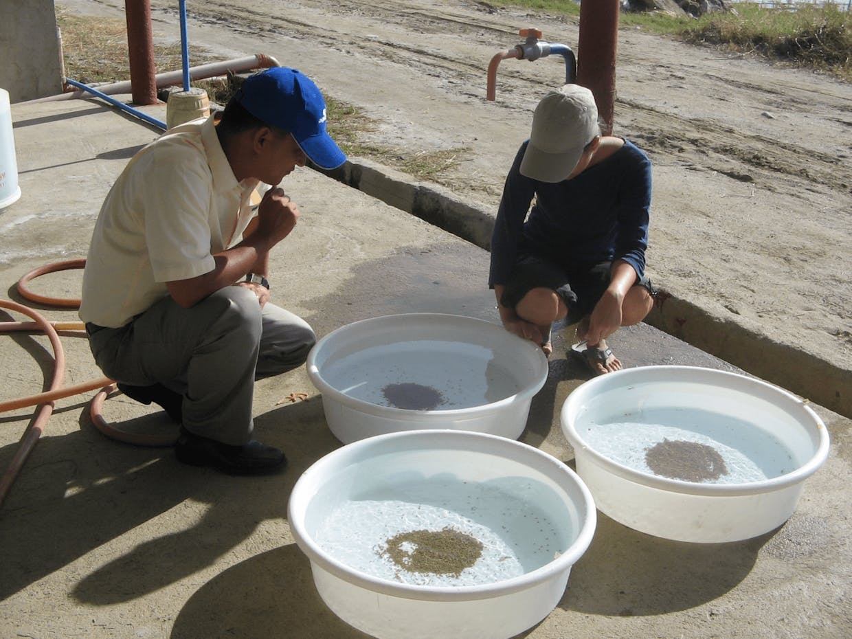 Original Documentary Photography: - On-Site  Comparative Static Water Feed  Stability Test taken at a shrimp farm in the Philippines... simultaneously comparing the disintegration duration of 3 shrimp feed brands.