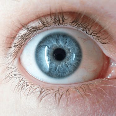 External Eye diseases and Cornea