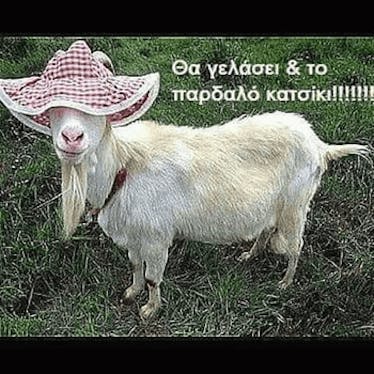 Χαμογελάστε ελεύθερα